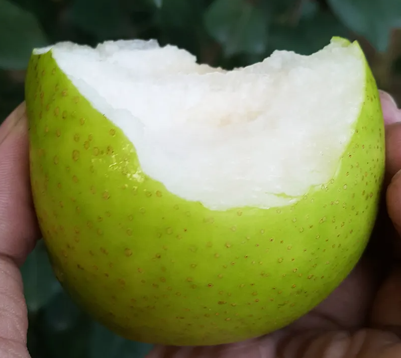1691049322454.png