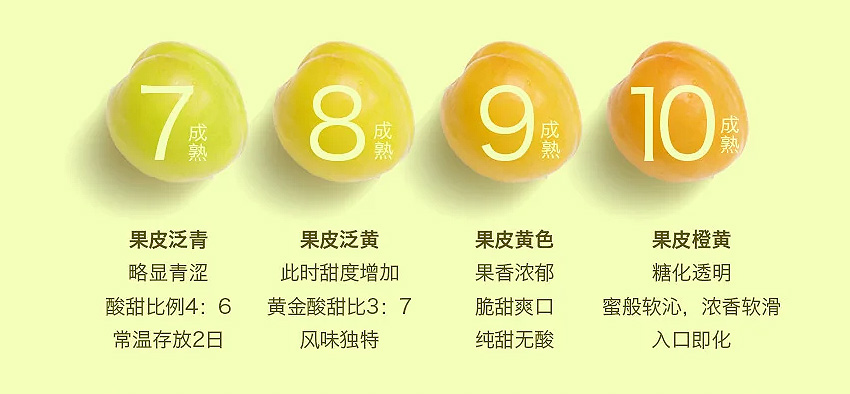 q.jpg